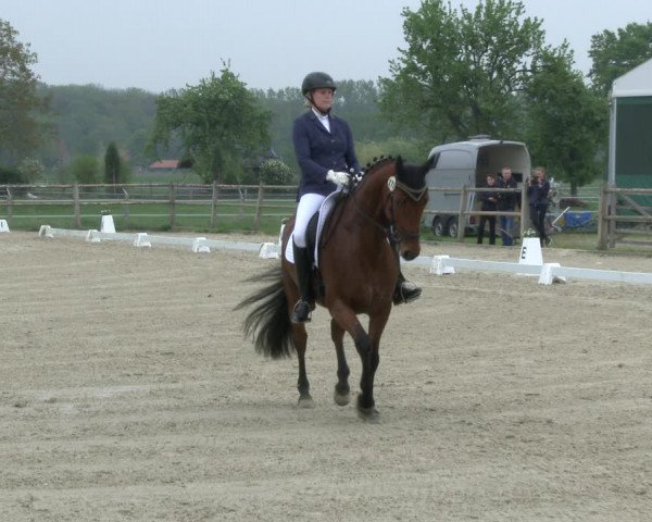 Reitturnier Warendorf, Reitstall am Rothenbach 2019