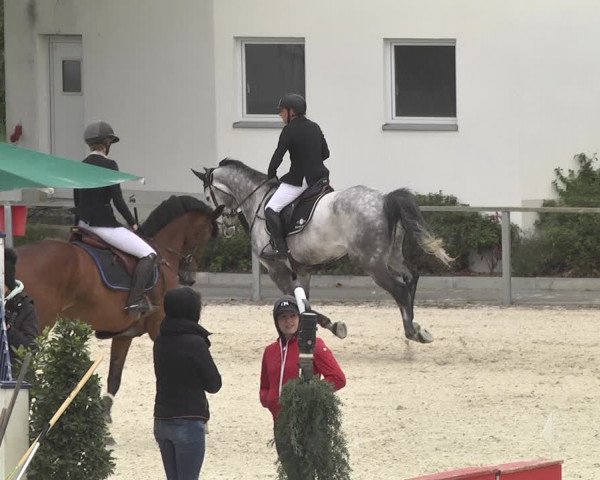 Reitturnier Ingolstadt-Hagau 2019