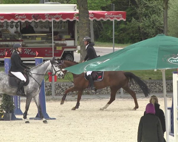 Reitturnier Ingolstadt-Hagau 2019
