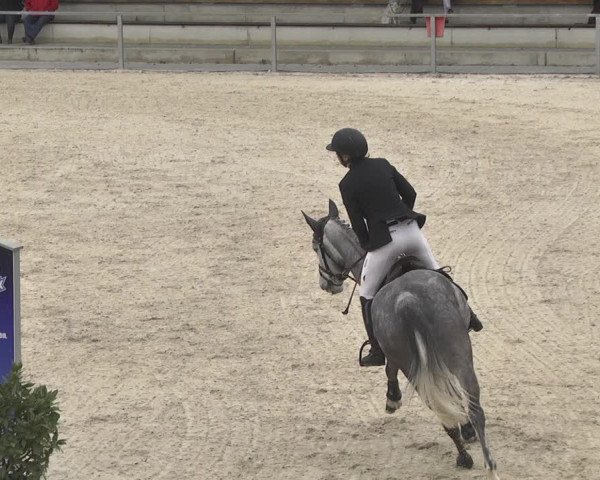 Reitturnier Ingolstadt-Hagau 2019