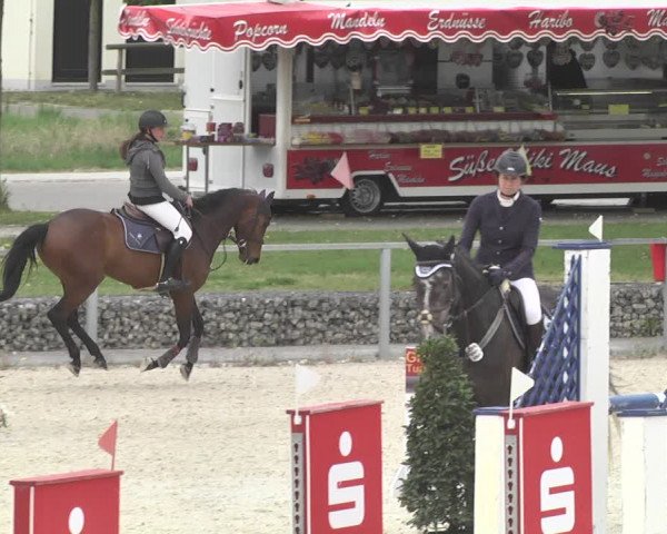 Reitturnier Ingolstadt-Hagau 2019