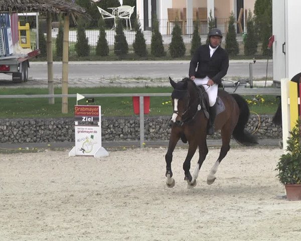 Reitturnier Ingolstadt-Hagau 2019