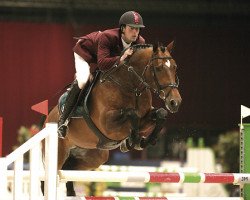 stallion Sarantos (KWPN (Royal Dutch Sporthorse), 1999, from Emilion)
