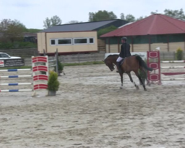 Reitturnier Schülp / Rendsburg 2019