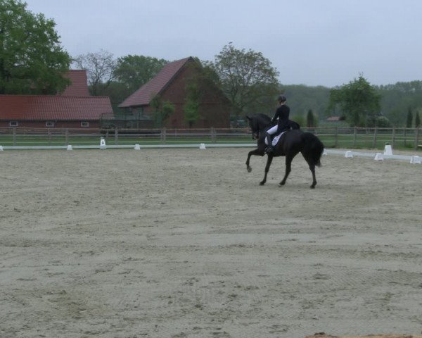 Reitturnier Warendorf, Reitstall am Rothenbach 2019