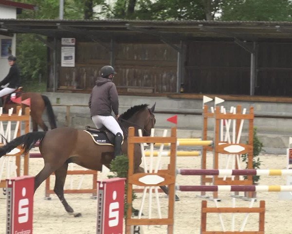 Reitturnier Ingolstadt-Hagau 2019