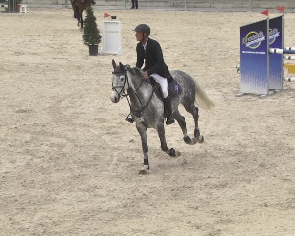Reitturnier Ingolstadt-Hagau 2019