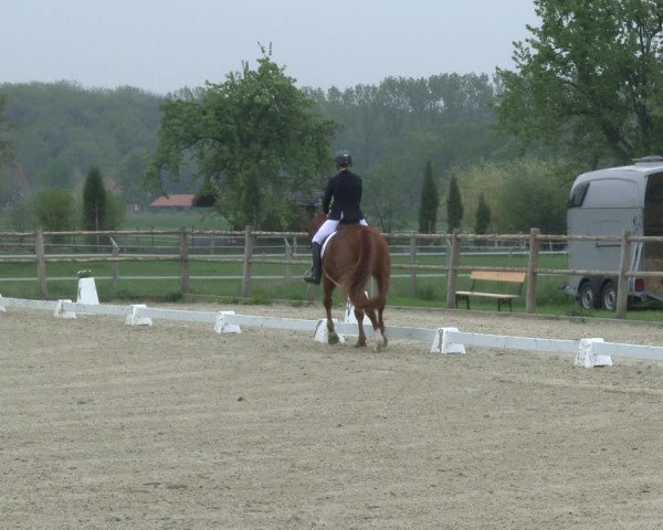 Reitturnier Warendorf, Reitstall am Rothenbach 2019