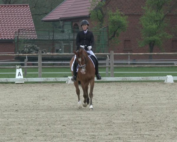 Reitturnier Warendorf, Reitstall am Rothenbach 2019