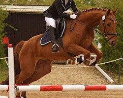 dressage horse Legolas 176 (Hanoverian, 2011, from Lissaro)