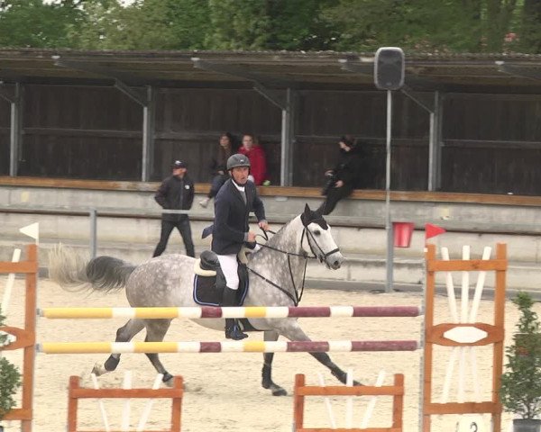 Reitturnier Ingolstadt-Hagau 2019