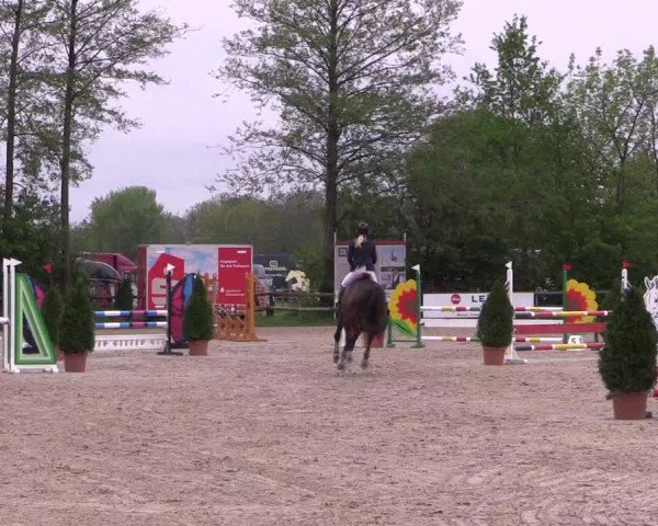 Reitturnier Nienberge 2019