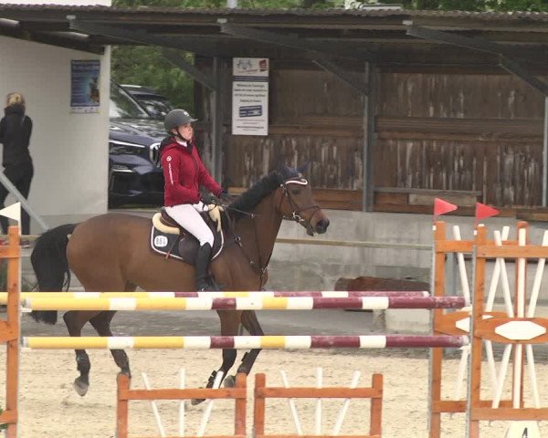 Reitturnier Ingolstadt-Hagau 2019