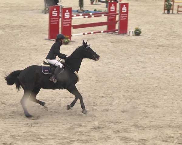 Reitturnier Ingolstadt-Hagau 2019