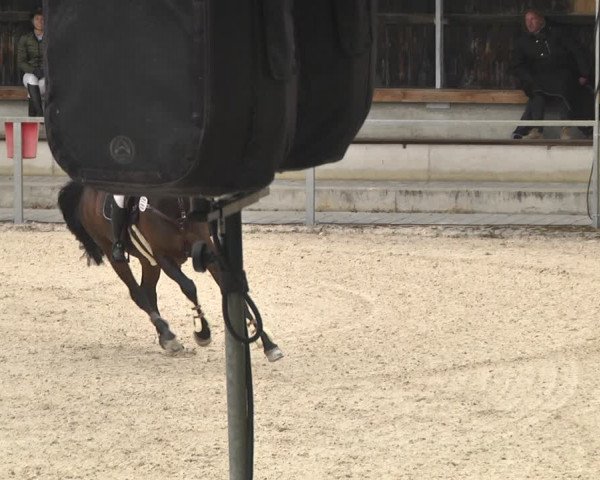 Reitturnier Ingolstadt-Hagau 2019