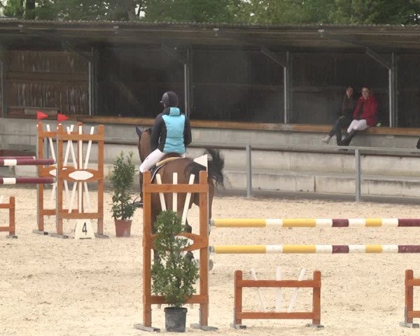 Reitturnier Ingolstadt-Hagau 2019