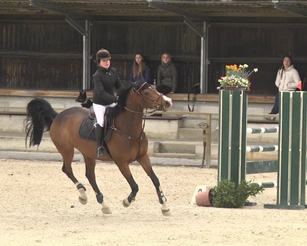 Reitturnier Ingolstadt-Hagau 2019
