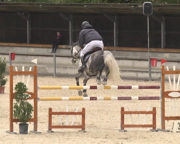 Reitturnier Ingolstadt-Hagau 2019