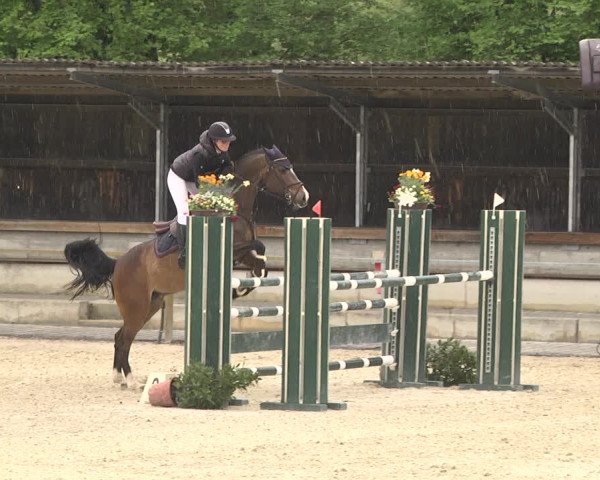 Reitturnier Ingolstadt-Hagau 2019