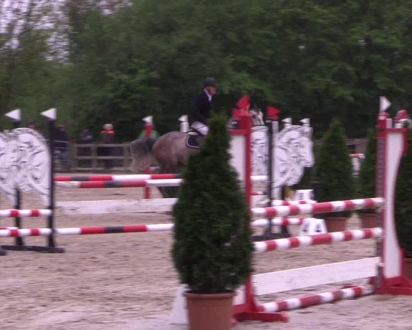 Reitturnier Nienberge 2019