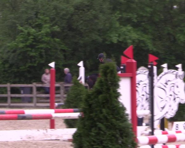 Reitturnier Nienberge 2019