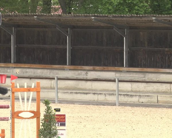 Reitturnier Ingolstadt-Hagau 2019