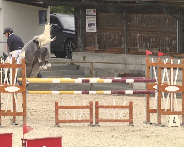 Reitturnier Ingolstadt-Hagau 2019