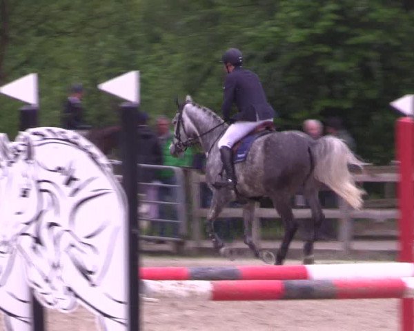 Reitturnier Nienberge 2019