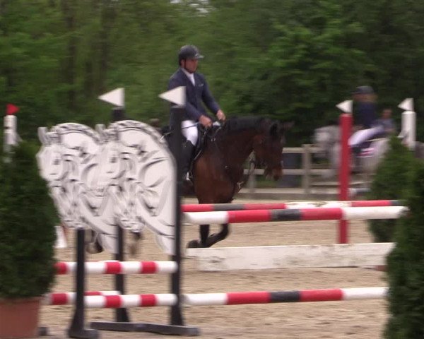 Reitturnier Nienberge 2019
