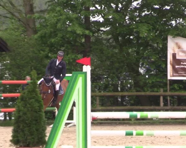 Reitturnier Nienberge 2019