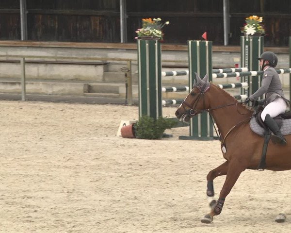 Reitturnier Ingolstadt-Hagau 2019