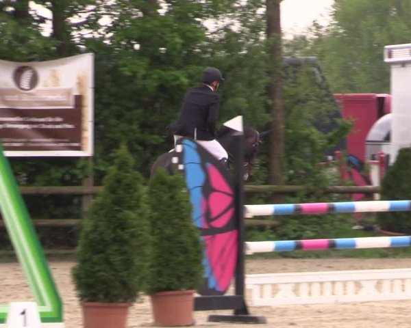 Reitturnier Nienberge 2019