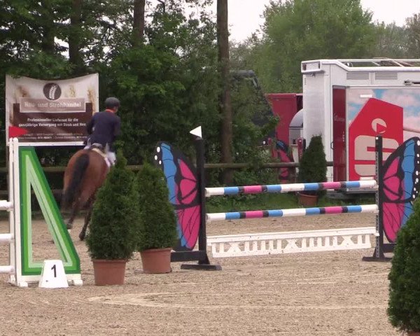 Reitturnier Nienberge 2019