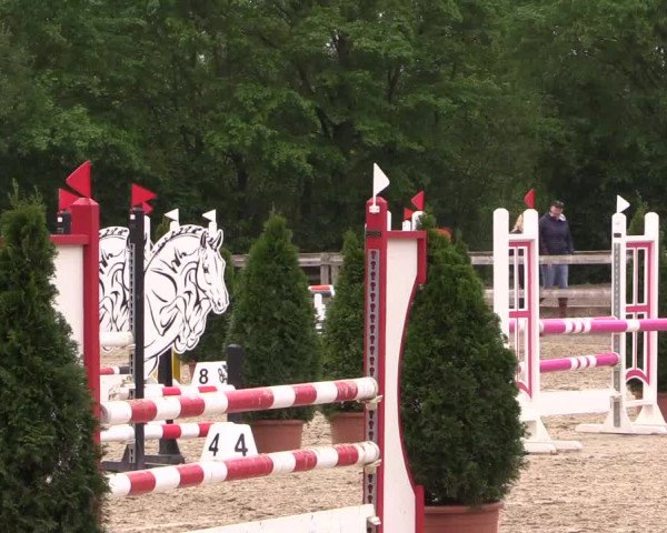 Reitturnier Nienberge 2019