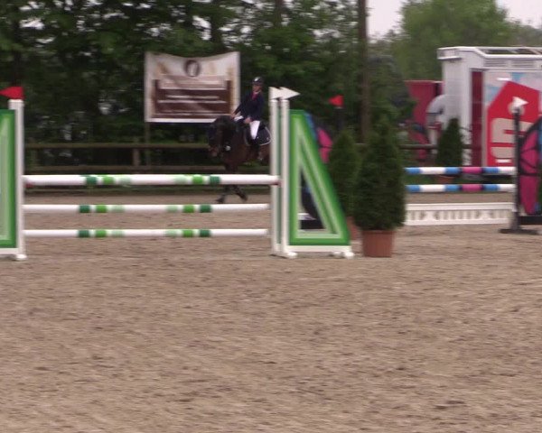 Reitturnier Nienberge 2019