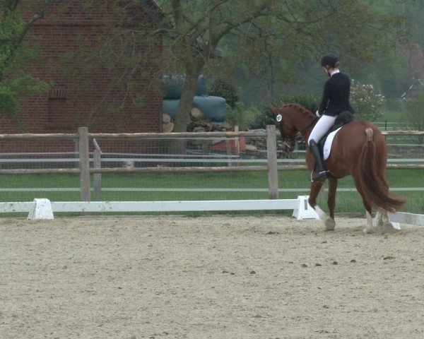 Reitturnier Warendorf, Reitstall am Rothenbach 2019