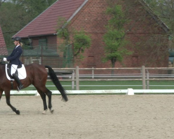 Reitturnier Warendorf, Reitstall am Rothenbach 2019