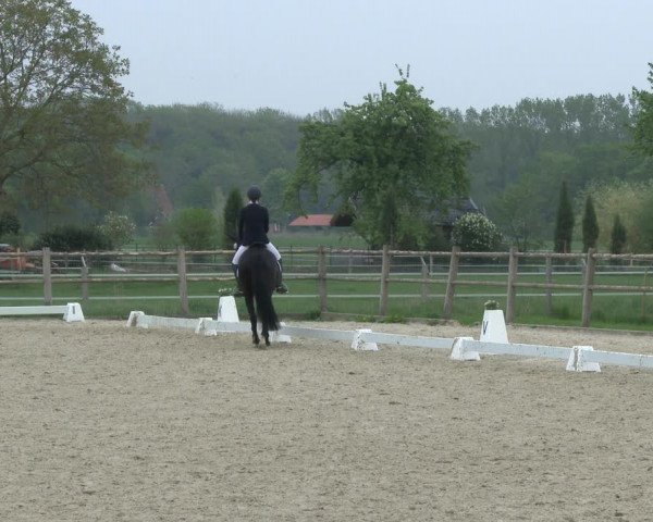 Reitturnier Warendorf, Reitstall am Rothenbach 2019