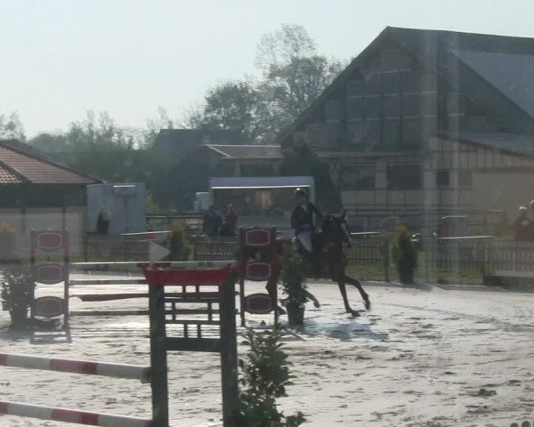 Reitturnier Schülp / Rendsburg 2019