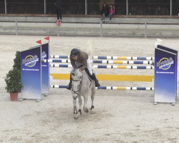 Reitturnier Ingolstadt-Hagau 2019