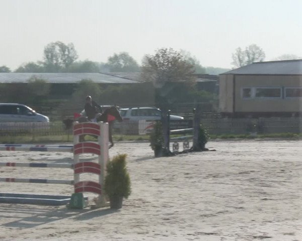 Reitturnier Schülp / Rendsburg 2019