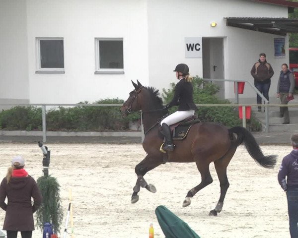 Reitturnier Ingolstadt-Hagau 2019