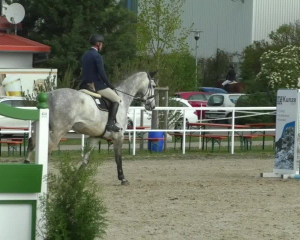 Reitturnier Langenau 2019