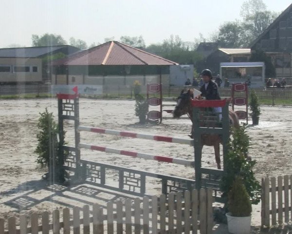 Reitturnier Schülp / Rendsburg 2019