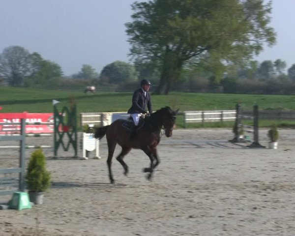 Reitturnier Schülp / Rendsburg 2019