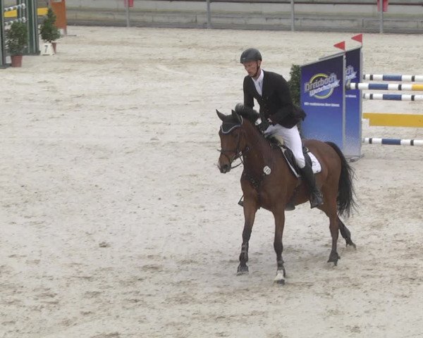 Reitturnier Ingolstadt-Hagau 2019