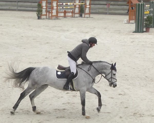 Reitturnier Ingolstadt-Hagau 2019