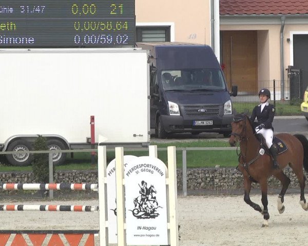 Reitturnier Ingolstadt-Hagau 2019