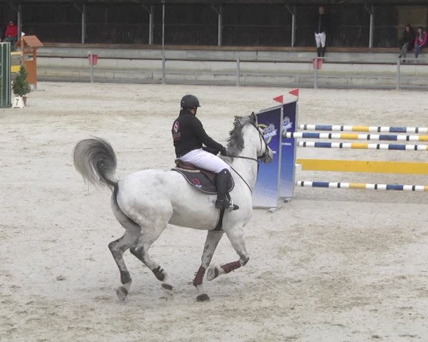 Reitturnier Ingolstadt-Hagau 2019