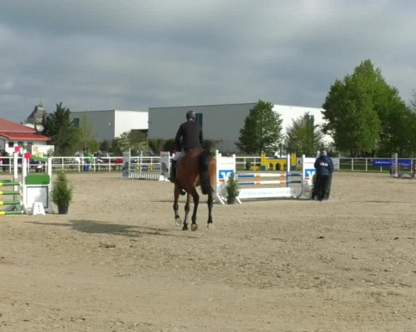 Reitturnier Langenau 2019